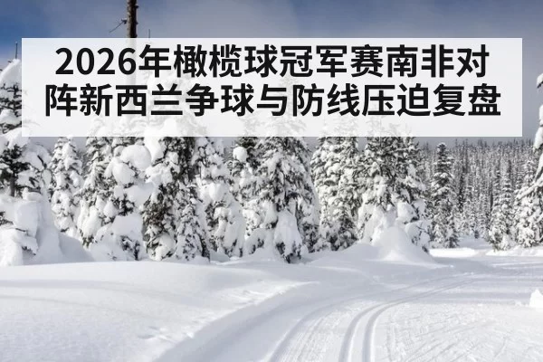 2026年橄榄球冠军赛南非对阵新西兰争球与防线压迫复盘